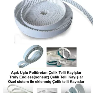 Minyatür Ray ve Sigma Profil